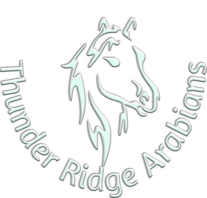 Thunder Ridge Arabians