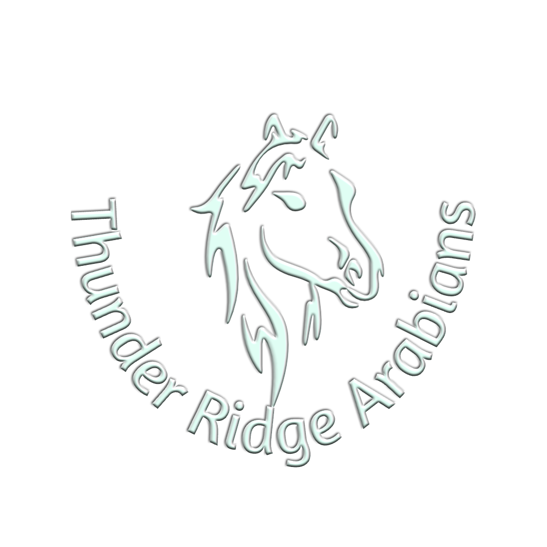 Thunder Ridge Arabians